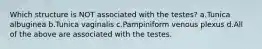 Which structure is NOT associated with the testes? a.Tunica albuginea b.Tunica vaginalis c.Pampiniform venous plexus d.All of the above are associated with the testes.