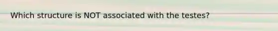 Which structure is NOT associated with the testes?