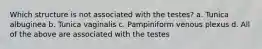 Which structure is not associated with the testes? a. Tunica albuginea b. Tunica vaginalis c. Pampiniform venous plexus d. All of the above are associated with the testes