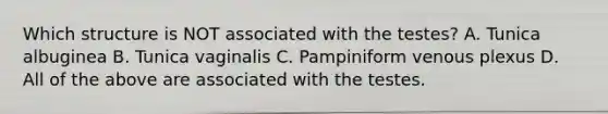 Which structure is NOT associated with the testes? A. Tunica albuginea B. Tunica vaginalis C. Pampiniform venous plexus D. All of the above are associated with the testes.