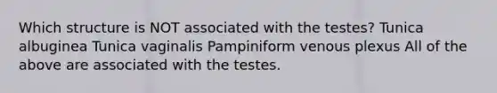 Which structure is NOT associated with the testes? Tunica albuginea Tunica vaginalis Pampiniform venous plexus All of the above are associated with the testes.