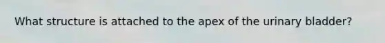 What structure is attached to the apex of the <a href='https://www.questionai.com/knowledge/kb9SdfFdD9-urinary-bladder' class='anchor-knowledge'>urinary bladder</a>?