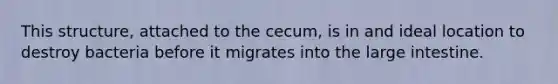 This structure, attached to the cecum, is in and ideal location to destroy bacteria before it migrates into the large intestine.