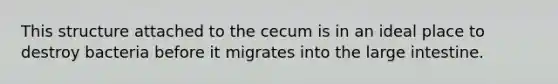 This structure attached to the cecum is in an ideal place to destroy bacteria before it migrates into the large intestine.