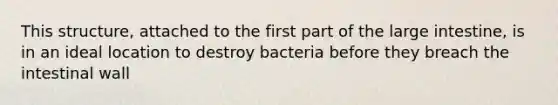 This structure, attached to the first part of the <a href='https://www.questionai.com/knowledge/kGQjby07OK-large-intestine' class='anchor-knowledge'>large intestine</a>, is in an ideal location to destroy bacteria before they breach the intestinal wall