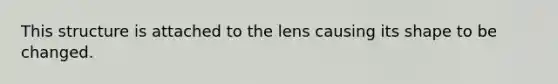 This structure is attached to the lens causing its shape to be changed.