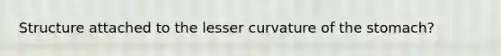 Structure attached to the lesser curvature of <a href='https://www.questionai.com/knowledge/kLccSGjkt8-the-stomach' class='anchor-knowledge'>the stomach</a>?