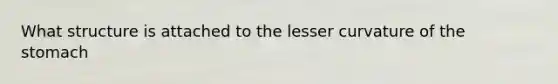 What structure is attached to the lesser curvature of the stomach
