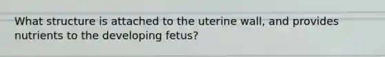 What structure is attached to the uterine wall, and provides nutrients to the developing fetus?