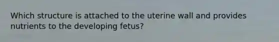 Which structure is attached to the uterine wall and provides nutrients to the developing fetus?