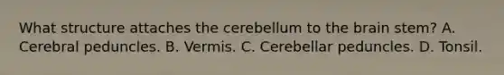 What structure attaches the cerebellum to <a href='https://www.questionai.com/knowledge/kLMtJeqKp6-the-brain' class='anchor-knowledge'>the brain</a> stem? A. Cerebral peduncles. B. Vermis. C. Cerebellar peduncles. D. Tonsil.