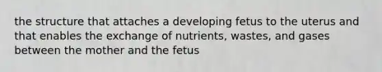 the structure that attaches a developing fetus to the uterus and that enables the exchange of nutrients, wastes, and gases between the mother and the fetus