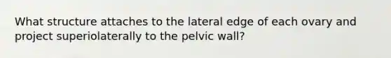 What structure attaches to the lateral edge of each ovary and project superiolaterally to the pelvic wall?