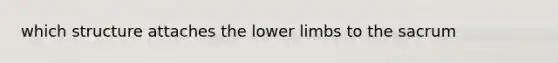 which structure attaches the lower limbs to the sacrum