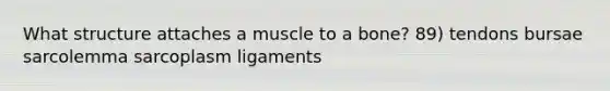 What structure attaches a muscle to a bone? 89) tendons bursae sarcolemma sarcoplasm ligaments