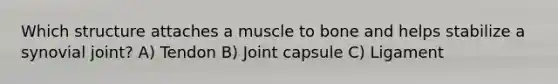 Which structure attaches a muscle to bone and helps stabilize a synovial joint? A) Tendon B) Joint capsule C) Ligament