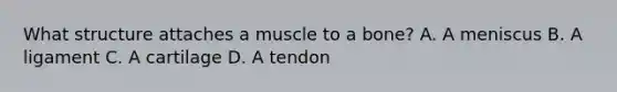 What structure attaches a muscle to a bone? A. A meniscus B. A ligament C. A cartilage D. A tendon