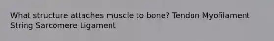 What structure attaches muscle to bone? Tendon Myofilament String Sarcomere Ligament