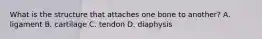 What is the structure that attaches one bone to another? A. ligament B. cartilage C. tendon D. diaphysis