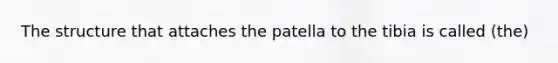 The structure that attaches the patella to the tibia is called (the)