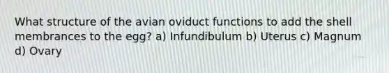 What structure of the avian oviduct functions to add the shell membrances to the egg? a) Infundibulum b) Uterus c) Magnum d) Ovary