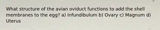 What structure of the avian oviduct functions to add the shell membranes to the egg? a) Infundibulum b) Ovary c) Magnum d) Uterus