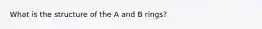 What is the structure of the A and B rings?