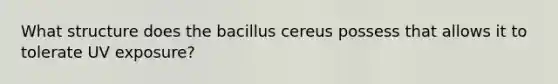 What structure does the bacillus cereus possess that allows it to tolerate UV exposure?