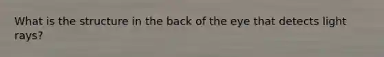 What is the structure in the back of the eye that detects light rays?