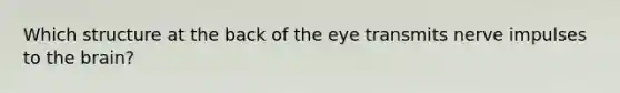 Which structure at the back of the eye transmits nerve impulses to the brain?