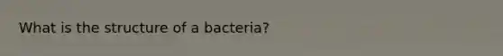 What is the structure of a bacteria?