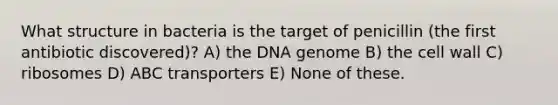 What structure in bacteria is the target of penicillin (the first antibiotic discovered)? A) the DNA genome B) the cell wall C) ribosomes D) ABC transporters E) None of these.