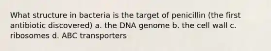 What structure in bacteria is the target of penicillin (the first antibiotic discovered) a. the DNA genome b. the cell wall c. ribosomes d. ABC transporters