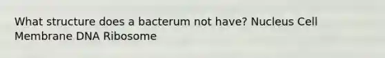 What structure does a bacterum not have? Nucleus Cell Membrane DNA Ribosome