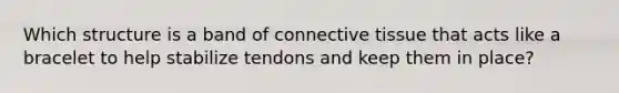 Which structure is a band of <a href='https://www.questionai.com/knowledge/kYDr0DHyc8-connective-tissue' class='anchor-knowledge'>connective tissue</a> that acts like a bracelet to help stabilize tendons and keep them in place?