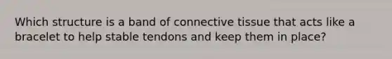Which structure is a band of connective tissue that acts like a bracelet to help stable tendons and keep them in place?
