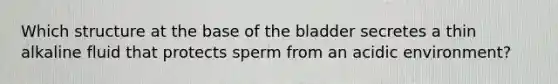 Which structure at the base of the bladder secretes a thin alkaline fluid that protects sperm from an acidic environment?