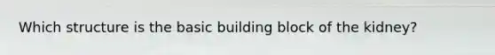 Which structure is the basic building block of the kidney?