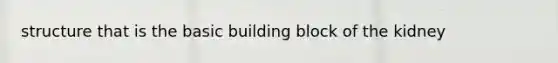 structure that is the basic building block of the kidney