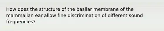 How does the structure of the basilar membrane of the mammalian ear allow fine discrimination of different sound frequencies?