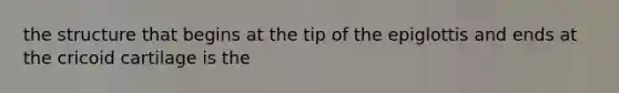 the structure that begins at the tip of the epiglottis and ends at the cricoid cartilage is the