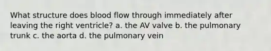 What structure does blood flow through immediately after leaving the right ventricle? a. the AV valve b. the pulmonary trunk c. the aorta d. the pulmonary vein