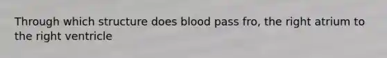 Through which structure does blood pass fro, the right atrium to the right ventricle