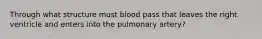 Through what structure must blood pass that leaves the right ventricle and enters into the pulmonary artery?