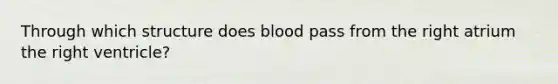 Through which structure does blood pass from the right atrium the right ventricle?