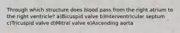 Through which structure does blood pass from the right atrium to the right ventricle? a)Bicuspid valve b)Interventricular septum c)Tricuspid valve d)Mitral valve e)Ascending aorta