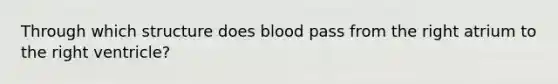 Through which structure does blood pass from the right atrium to the right ventricle?