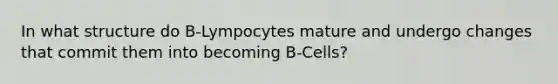 In what structure do B-Lympocytes mature and undergo changes that commit them into becoming B-Cells?