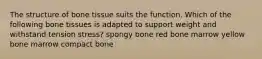 The structure of bone tissue suits the function. Which of the following bone tissues is adapted to support weight and withstand tension stress? spongy bone red bone marrow yellow bone marrow compact bone