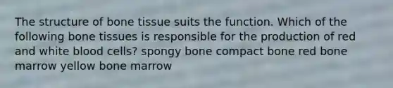 The structure of bone tissue suits the function. Which of the following bone tissues is responsible for the production of red and white blood cells? spongy bone compact bone red bone marrow yellow bone marrow